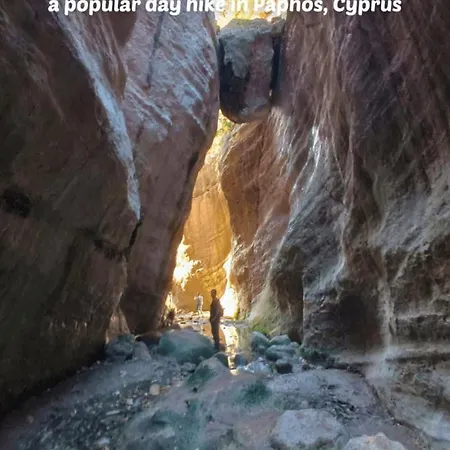 Arodes Asteria Volunteer & Youth Eco-house Vandrarhem *