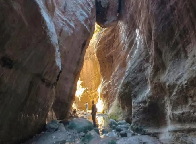 Arodes Asteria Volunteer & Youth Eco-house Auberge de jeunesse *